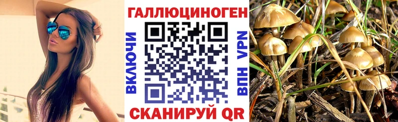 Галлюциногенные грибы Cubensis  Пущино 